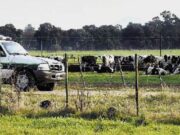 Productores y Estado coordinarán la prevención del delito rural en Buenos Aires