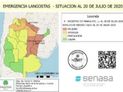 Detección de una nueva manga de langostas proveniente de Paraguay