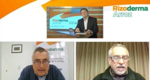 Presentaron el primer curasemilla biológico para arroz