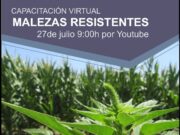 No se olvide, lunes 27 a las 9 hs: capacitación de Garay sobe Malezas resistentes