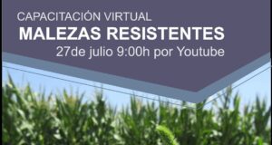 Inta anuncia capacitación de Garay sobre «Malezas resistentes»