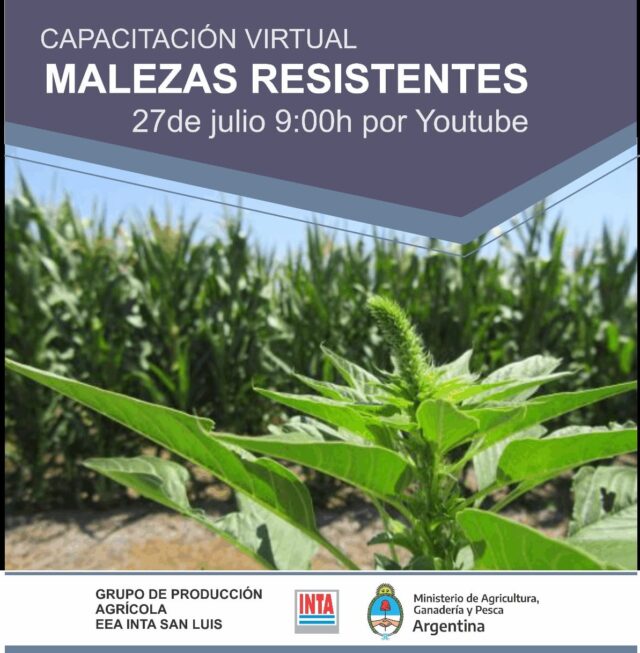 23 - 07 - capcaitación malezas resistentes