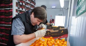 En el primer semestre crecieron las exportaciones de agroalimentos