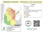 Lograron romper la manga de langostas en Entre Ríos