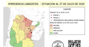 Lograron romper la manga de langostas en Entre Ríos