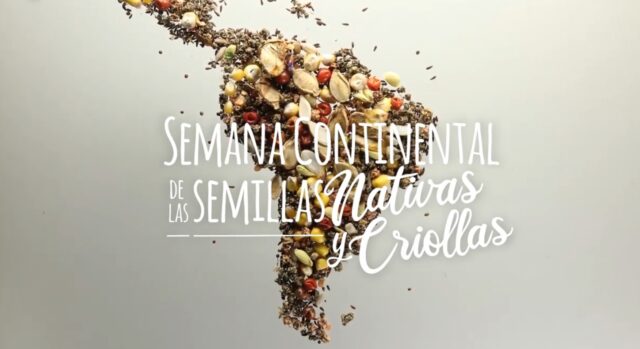 30 - 07 - semana continental de semilas nativas