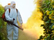 Operativo en zonas rurales de La Rioja para frenar al Chagas