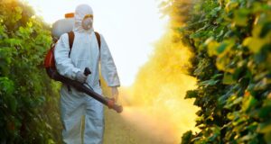 Operativo en zonas rurales de La Rioja para frenar al Chagas