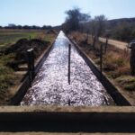 Canal-San-Francisco-3