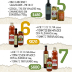 Combos-Sol-Puntano-2-1-630×919