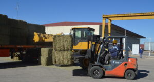 San Luis prepara un segundo contrato comercial por 15 mil toneladas de alfalfa