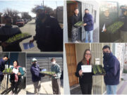 Sol Puntano comenzó a entregar las bandejas hortícolas de julio