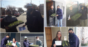 Sol Puntano comenzó a entregar las bandejas hortícolas de julio