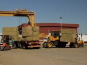 Esperan un fuerte impacto productivo, comercial y ambiental con la exportación de alfalfa