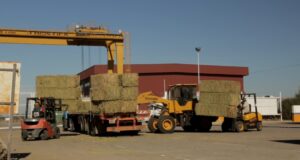 Esperan un fuerte impacto productivo, comercial y ambiental con la exportación de alfalfa