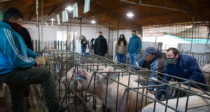 Se realizaron acciones de sanidad animal en dos escuelas agrotécnicas del interior provincial