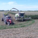 WhatsApp Image 2020-06-22 at 14.27.17 (2)