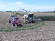 Tecnologías para confeccionar silajes inteligentes