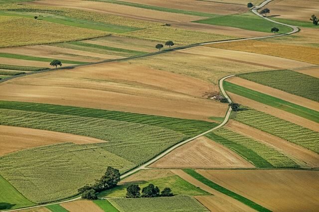agriculture-3195381_960_720