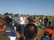 Barbecho para la próxima campaña de cosecha gruesa: es momento de pensar en controlar las malezas