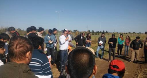 Barbecho para la próxima campaña de cosecha gruesa: es momento de pensar en controlar las malezas