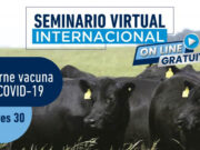 Seminario Internacional Virtual del IPCVA: El desafío de la carne vacuna en el mundo post COVID-19