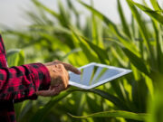 Tecnologías de la información en el Agro: ¿hacia dónde vamos?