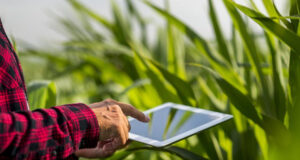 Tecnologías de la información en el Agro: ¿hacia dónde vamos?
