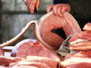Récord de exportación producción y consumo de cerdo en primer semestre