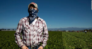 Agro y coronavirus: qué dicen las encuestas de los grupos CREA