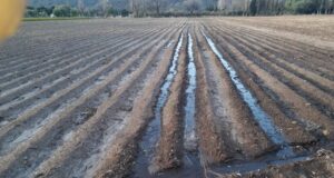 Iniciativa de producción integral de la agricultura familiar en Luján