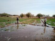 Los agricultores familiares tendrán un programa nacional de promoción