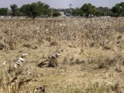 La falta de agua se mantendría hasta septiembre