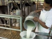 La pandemia afectará el desarrollo productivo en el sector lácteo