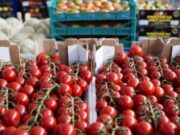 Senasa fortalece el trabajo con la economía social