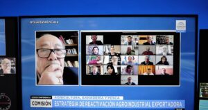 El Consejo Agroindustrial estuvo con la comisión de Agricultura del Senado