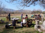 Capacitación de poda de árboles frutales en Río Gómez