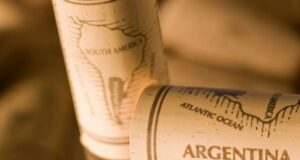 Mendoza y Nación lanzan un plan para aumentar las exportaciones vitivinícolas