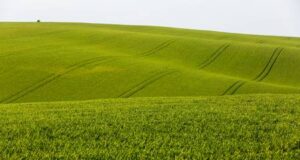 El Gobierno bonaerense anunció que el campo recibirá fondos por $40.000 millones