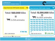 Fuerte aumento de las exportaciones de carne bovina a Estados Unidos