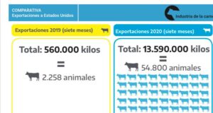 Fuerte aumento de las exportaciones de carne bovina a Estados Unidos
