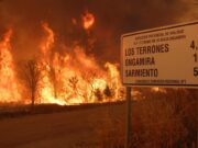 Schiaretti declaró a la zona de los incendios como desastre agropecuario