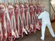 Las exportaciones de carne porcina crecieron un 73% en septiembre