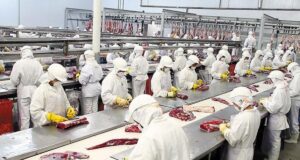 La UE ratifica que Argentina tiene un sistema confiable de exportación de carnes