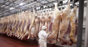 Las exportaciones argentinas de carne crecen también durante agosto