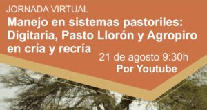 INTA Unión realizará una jornada virtual sobre “Manejo de sistemas pastoriles”