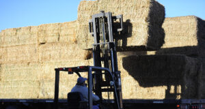 San Luis: compactadora de alfalfa permite ahorrar hasta un 30% en el costo del flete