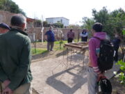 Capacitación sobre poda de frutales en Luján
