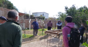 Capacitación sobre poda de frutales en Luján