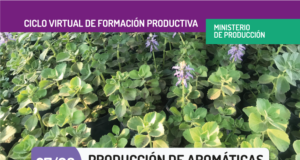 San Luis: la sexta charla virtual para pequeños y medianos productores cambia de día